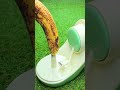 The Kitchen Tool Everyone Is Talking About!