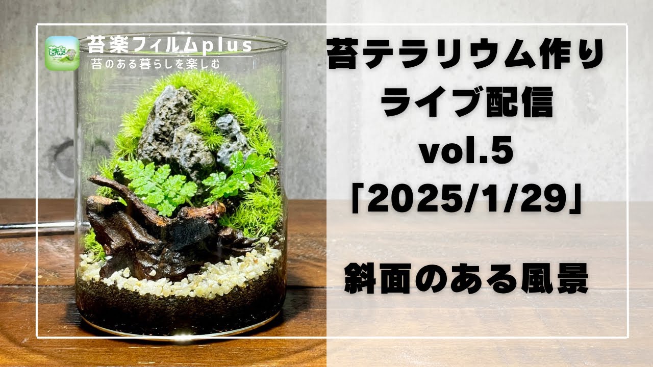 斜面のある風景】苔テラリウム作りLive 苔楽フィルムplus - YouTube
