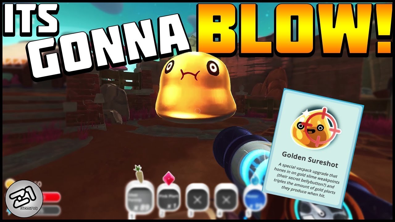 how to get gold slime in slime rancher