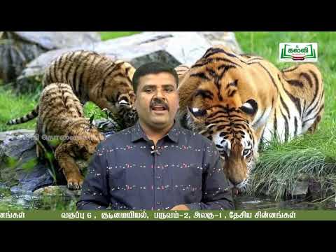 வகுப்பு 6 சமூக அறிவியல் குடிமையியல் தேசிய சின்னங்கள் அலகு 1 KalviTv