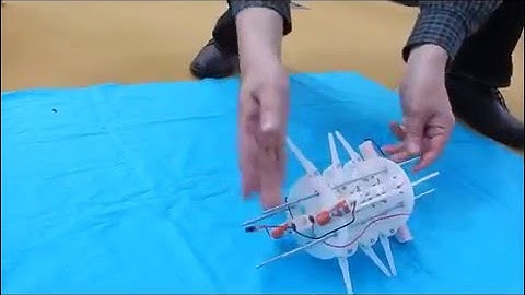 Roll-free Multi-legged Robot Driven by a Single Motor