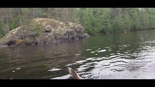 Nousin Ylös Jaa Pyyhin Kännykän