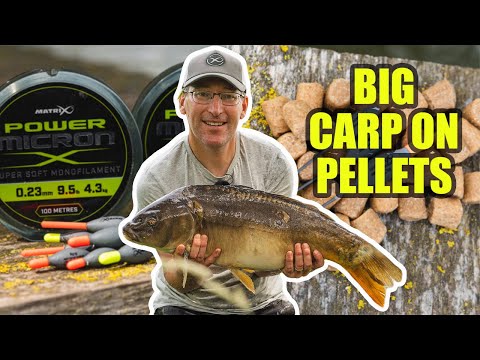 Fish Matrix - ***🎥 NEW VIDEO - BLOWN PELLET FISHING