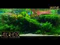Emerald Hollow|Fixed 3hours 4K HDR 60fps|Real Aquarium|WIDE