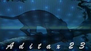 Dixie X Bagheera Crossover