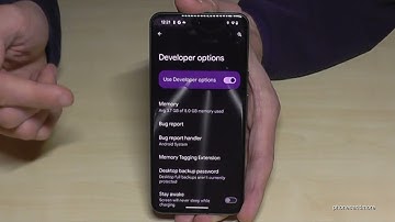 Google Pixel 8 (Pro): How to enable and disable the Developer Options? And where to find them after!