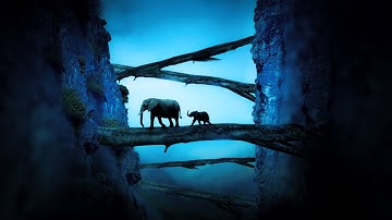 Elephant Photoshop Manipulation Tutorial | Concept Art