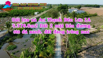 T50 đất lúa xã An Thạnh Bến Lức LA 5.370m2 đất 2 mặt tiền đường ôtô đá xanh đang trồng mai