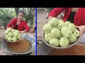 Delicious seedless guava recipe - Cooking with Sreypov