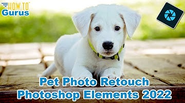 Retouch a Pet Photo in Photoshop Elements - much better than Perfect Pet Guided Edit