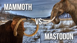 Mammoth V Mastodon