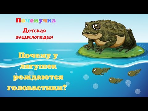 0+ Почему у лягушек рождаются головастики? Почемучка. Детская энциклопедия.