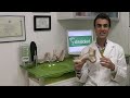 Fascitis+plantar+vs.+espol%c3%b3n+calc%c3%a1neo.+Ejercicios+y+estiramientos.