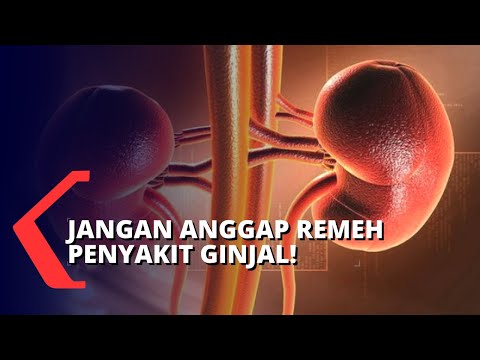 Apakah Anda Sudah Memelihara Kesehatan Ginjal?