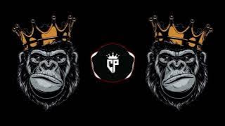 CHAIYYA CHAIYYA || HIGH GAIN SOUNDCHECK || CHOTYA PATIL REMIX