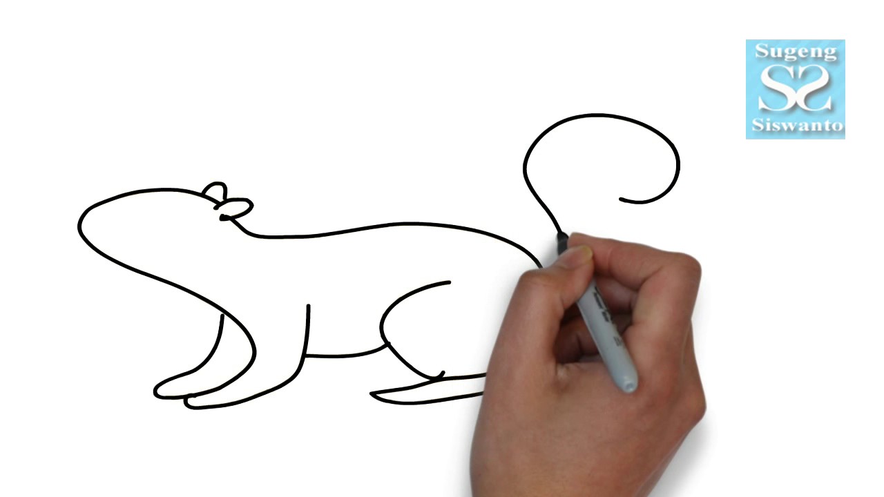 Menggambar Binatang TUPAI Draw Animals Squirrel YouTube