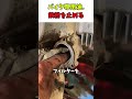 バイクはここが違う