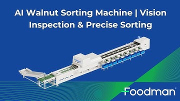 Foodman AI Walnut Sorting Machine | Smart Sorting for Higher Efficiency & Quality