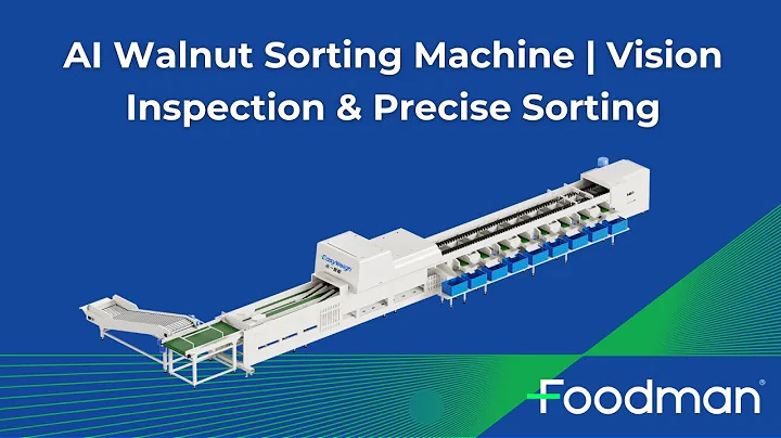 Foodman AI Walnut Sorting Machine | Smart Sorting for Higher Efficiency & Quality