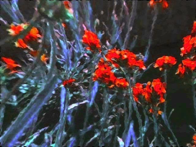 Cocteau Twins - Serpentskirt