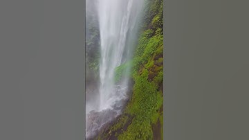 The mighty Sekumpul waterfall #bali #sekumpul #balitrip #waterfall #fpv #cinematic