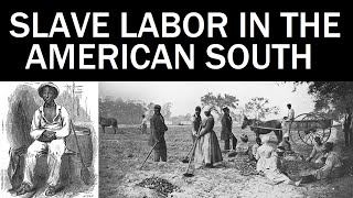 Slave Labor in the American South