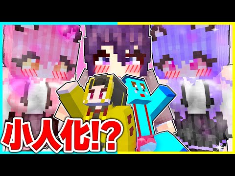 ⭐小人化した男子が女の子にいじめられるマインクラフト😢【まいくら/マインクラフト】