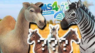 We Have CAMELS Now?! Time for CAMEL x ZEBRA Hybrids!!