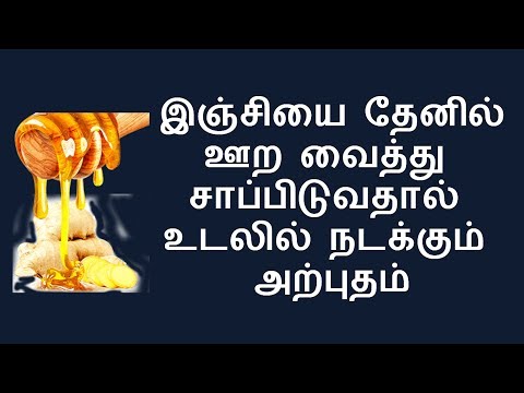 இஞ்சியை தேனில் ஊற வைத்து சாப்பிட்டால் உடலுக்கு கிடைக்கும் எண்ணற்ற பயன்கள். Honey Soaked with Ginger