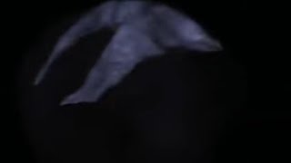 IT'S   G O N N A   A T T A C K.  T H E.  S U M M A R I N E