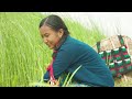 “GHINTANG” - Mero maya nau dada pari - Karma Tseten | CHOREOGRAPHY/COVER VIDEO Mp3 Song