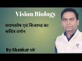 stucture of anther and ovule