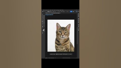 Tips to use clone stamp tool like a pro In Adobe Photoshop 2026 #logo_academy