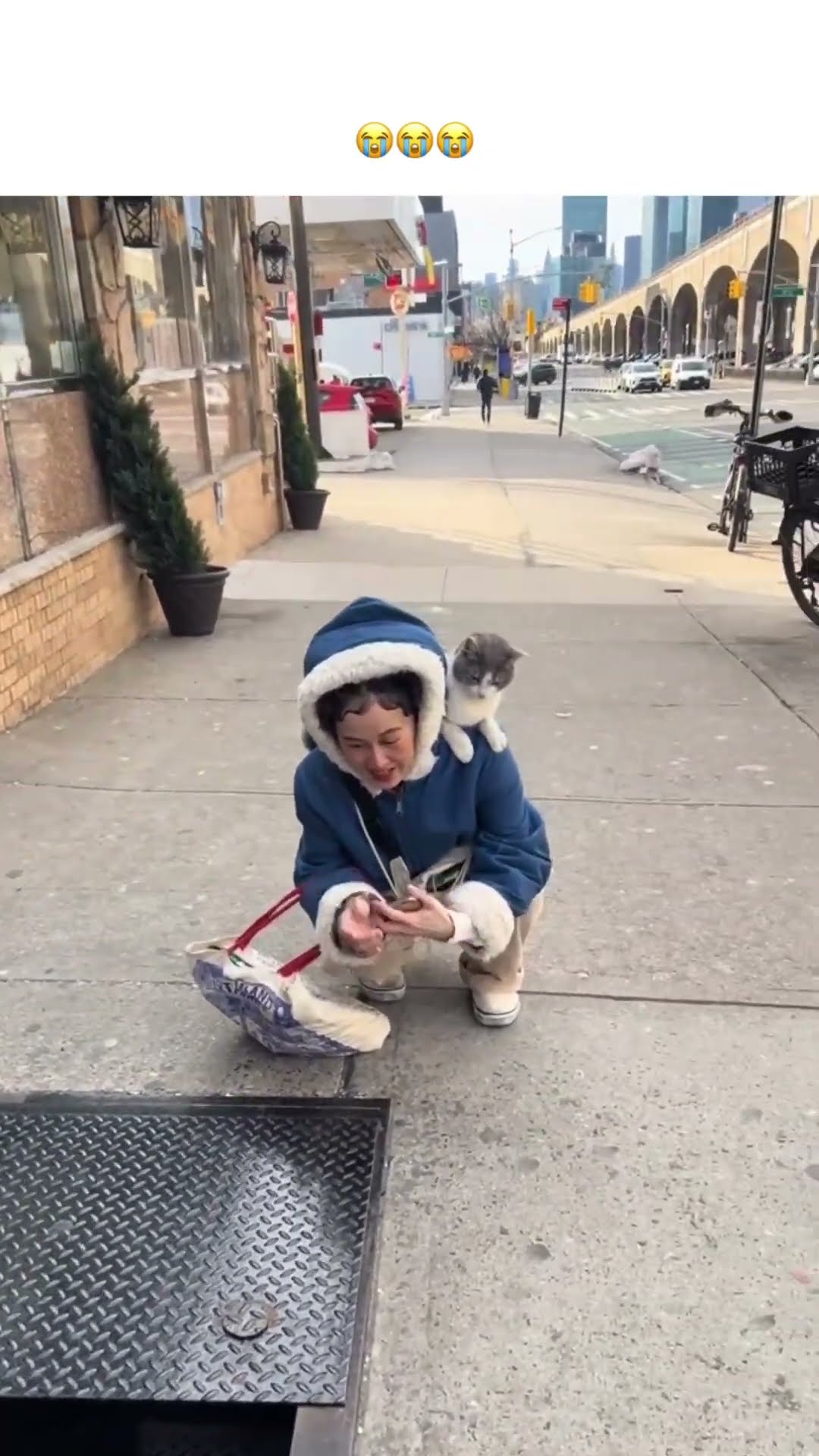 When the Kittyo like she not really my hooman