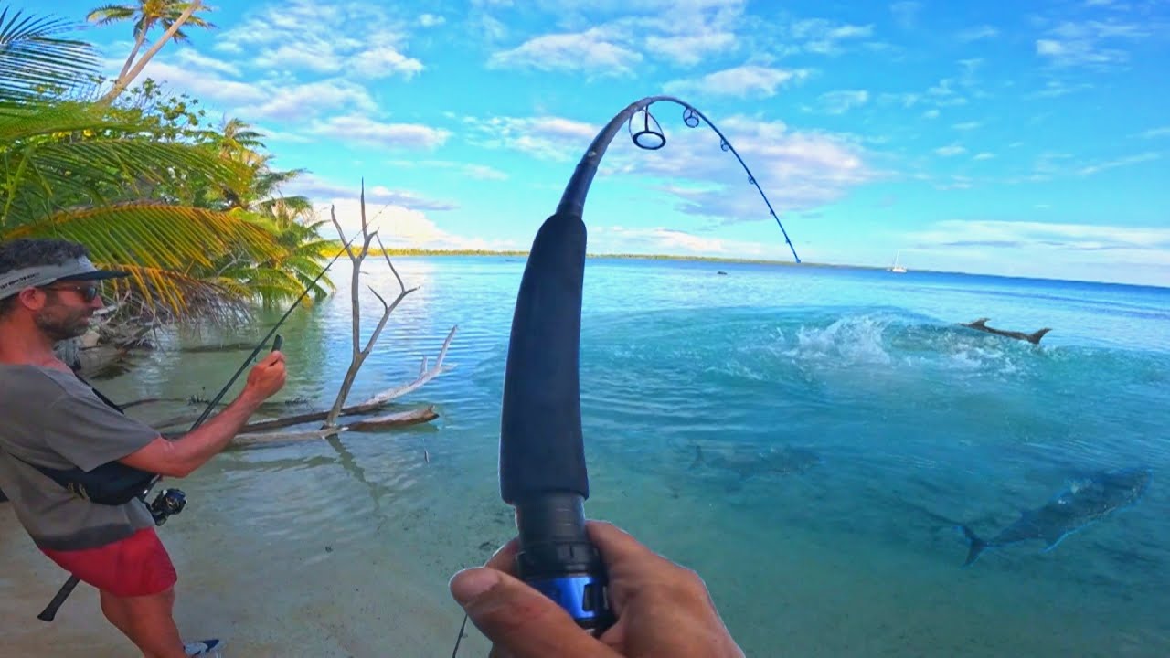 Scènes de PÊCHE SURPRENANTE au bout du monde. 