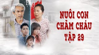 Nuôi Con Chăm Cháu Tập 29 | Phim ngắn hay 2024 | Cơm Sườn