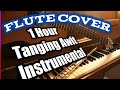Tanging Awit Nonstop Instrumental Music (Flute Cover) 1 hour songs of praises