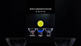 Euler’s Polyhedron Formula 🦋 #science #maths #geometry #topology #euler 🦋