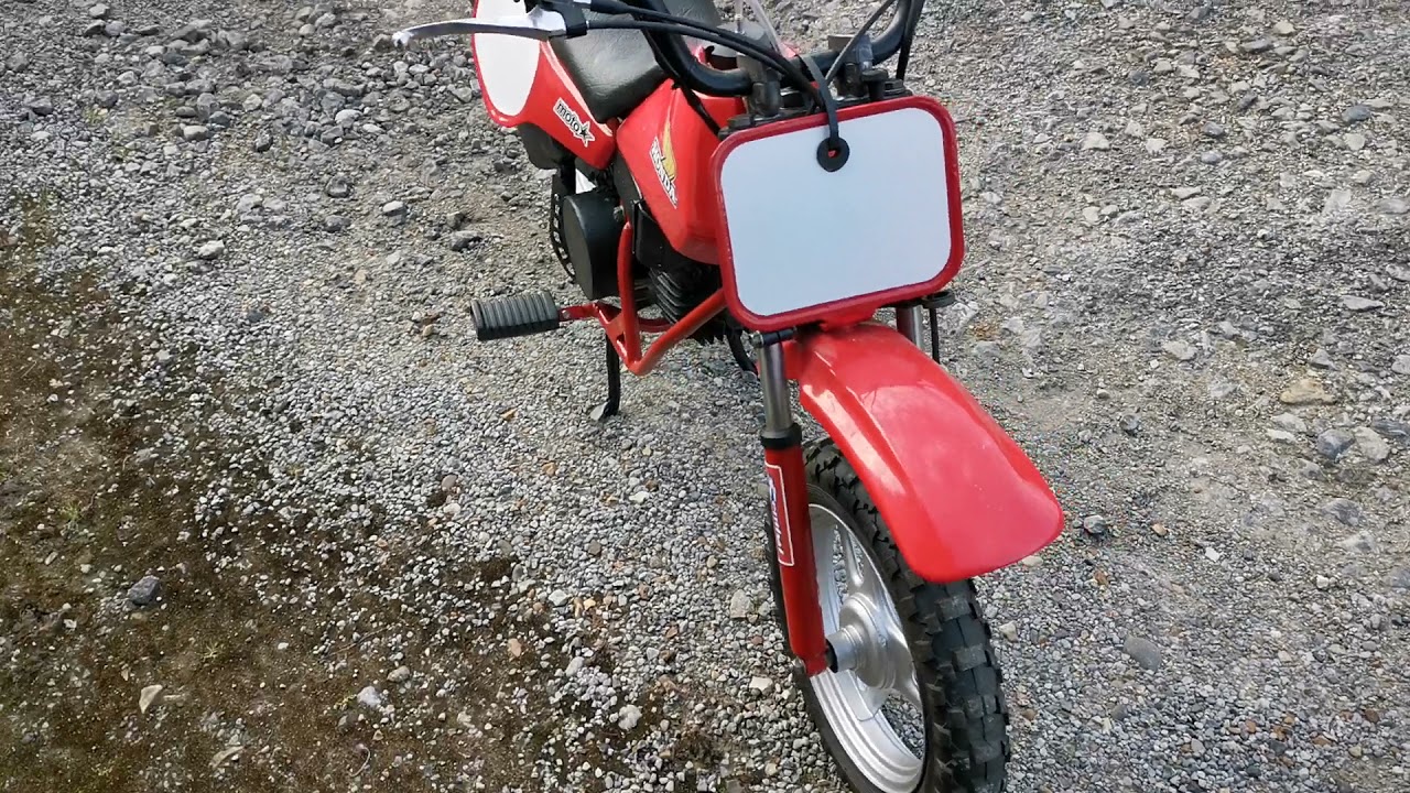 Amelia Squariel: Honda QR50