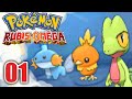 Pokmon rubis omga 01  gobou poussifeu arcko 