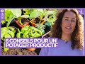 Potager  6 conseils pour allier beaut et productivit  jardins et loisirs