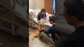 My dog visits the Children's Hospital