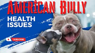 American Bully Health Issues: Common Health Problems in Bullies