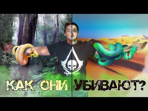 ЯД Змей как убивает и стоит ли отсасывать?