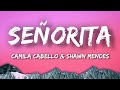 Shawn mendes camila cabello  seorita lyrics