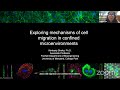Cell migration seminars 69 dr kimberly stroka