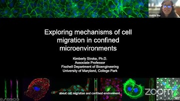 Cell Migration Seminars #69: Dr. Kimberly Stroka