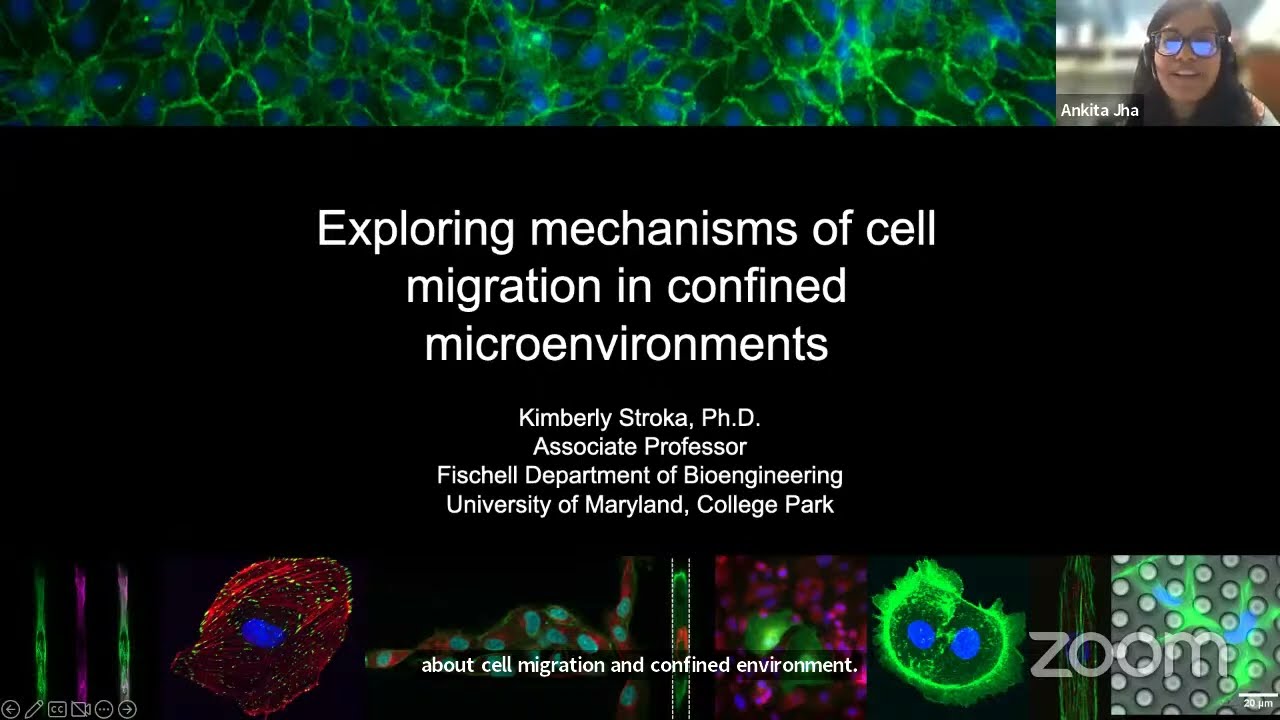 Cell Migration Seminars #69: Dr. Kimberly Stroka