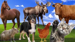 Funny farm animals sounds: Cat, Dog, Elephant, Horse, Elk, Capybara, Cow, Antelope - Cute animals