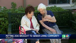 Roseville senior living community enjoys petting zoo animals